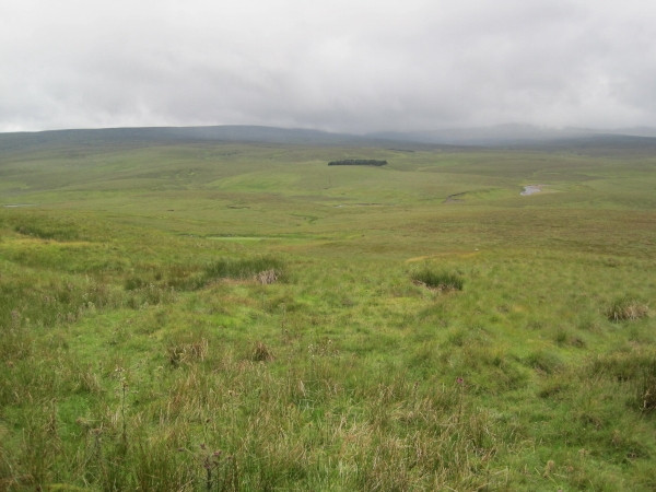 Photo 6"x4" Moorland above The River Tees Metalband Hill c2010