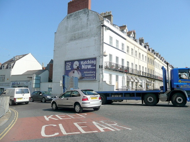 Photo 6"x4" Hatching Now... Weymouth\/SY6779 c2010