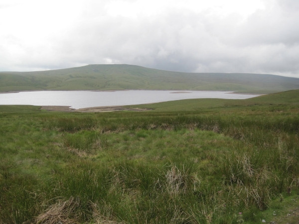 Photo 6"x4" Moorland above Cow Green Reservoir Harwood\/NY8233 c2010