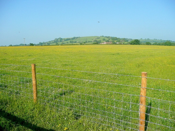 Photo 6"x4" Early June pasture Whitchurch\/ST6167 c2010