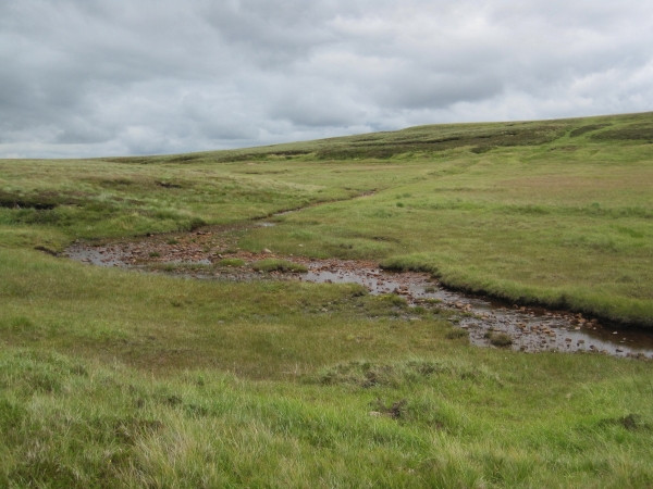 Photo 6"x4" Unnamed Sike, Cow Green Harwood\/NY8233 c2010