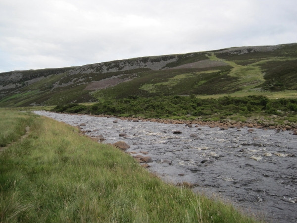 Photo 6"x4" River Tees below Fox Earths Forest-in-Teesdale c2010
