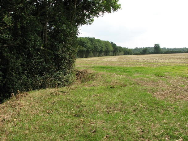 Photo 6"x4" Fields south of St Thomas Lane East Carleton c2010