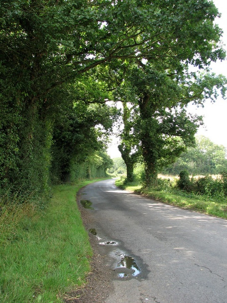 Photo 6"x4" View west along St Thomas Lane Ketteringham c2010