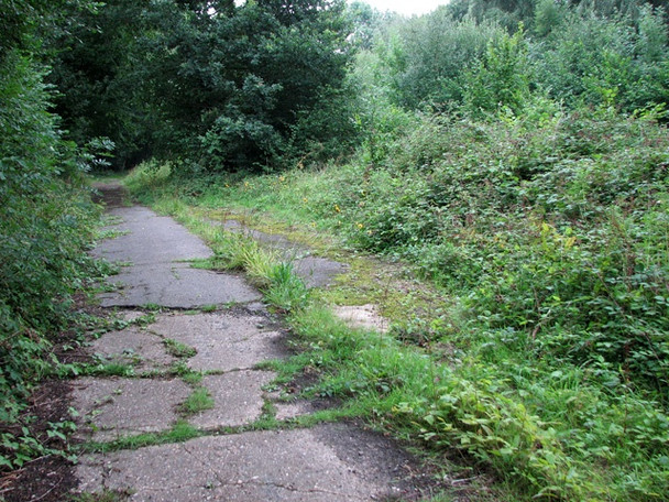 Photo 6"x4" Old service road on Hethel airfield Penny's Green c2010