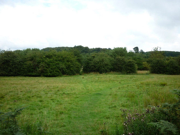 Photo 6"x4" A walk from Oulton Church #38 Austhorpe c2010