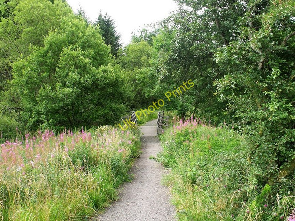 Photo 6"x4" Bridge over the Slachristock Burn Cock Hill\/NS7182 c2010