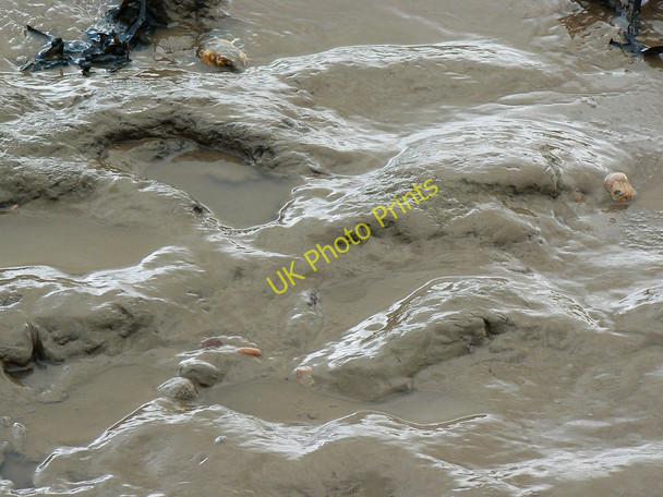 Photo 6"x4" A closer look at Bristol Channel mud and seaweed, Clevedon Clevedon c2010
