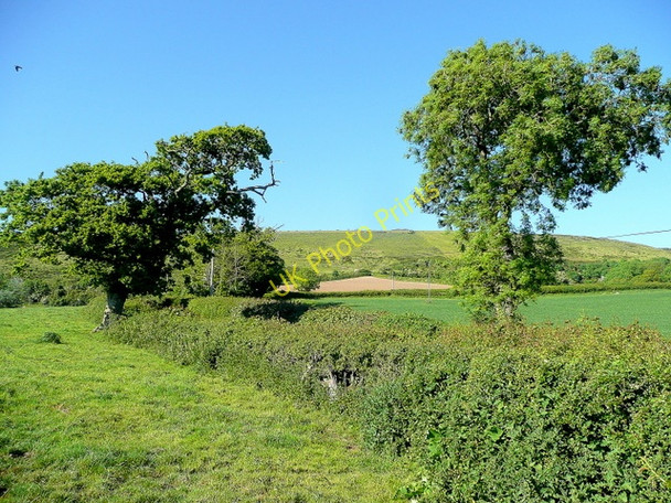 Photo 6"x4" Purbeck Downs Swanage c2010