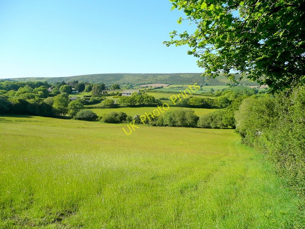 Photo 6"x4" View to Ailwood Down Langton Matravers c2010