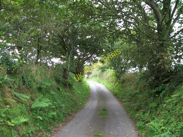 Photo 6"x4" Bend of a tree lined section of the lane to Bryncroes Sarn Meyllteyrn c2010