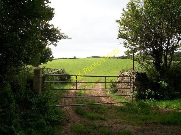 Photo 6"x4" Pasture land at Mynachdy Bryncroes c2010