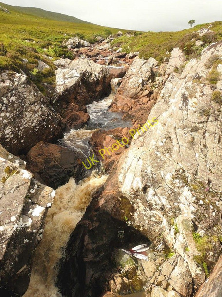 Photo 6"x4" Natural population control, River Grudie Sithean M\u00f2r\/NC3562 c2010