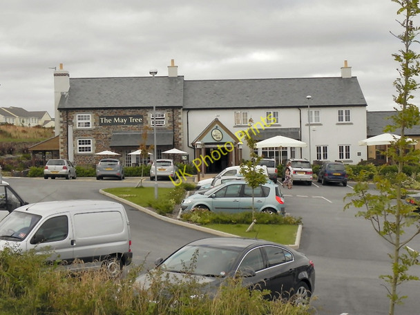 Photo 6"x4" The May Tree Helston c2010