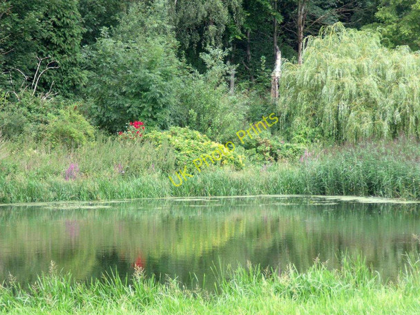 Photo 6"x4" Weston Cliff Wharf King's Newton c2010