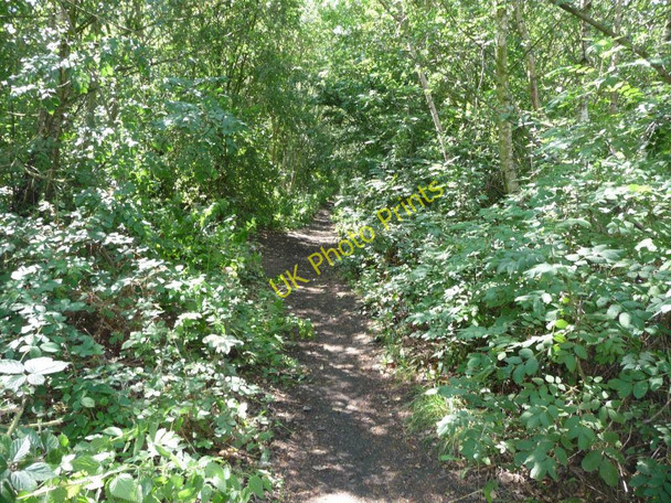 Photo 6"x4" Former railway line, now a path Methley Junction c2010