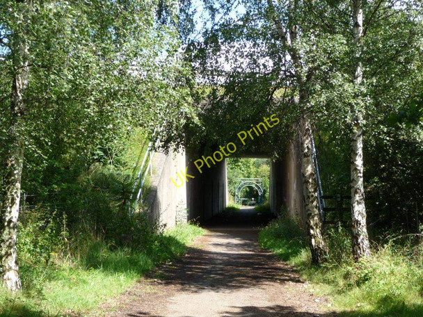 Photo 6"x4" Former railway line passing under M62 Methley Lanes c2010