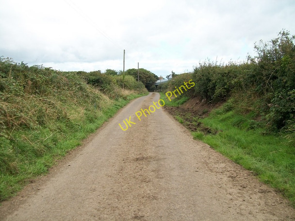 Photo 6"x4" The road east towards Ty Mawr Bryncroes c2010