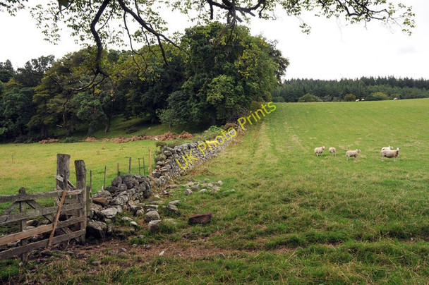 Photo 6"x4" Farmland near Coulmore Balgunearie c2010
