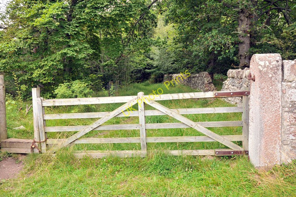 Photo 6"x4" Track into Gallowhill Wood Milton\/NH5849 c2010