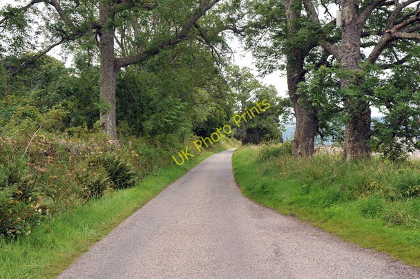 Photo 6"x4" Road along the north shore of the Beauly Firth Milton\/NH5849 c2010