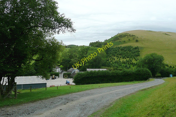 Photo 6"x4" Bridleway and Bwlchyddwyallt Farm, Ceredigion Swyddffynnon c2010