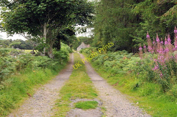 Photo 6"x4" Farm track near Ord Muir Drynie Park c2010