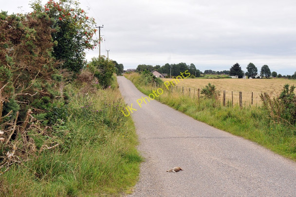 Photo 6"x4" Road through North Drynie Park Drynie Park c2010