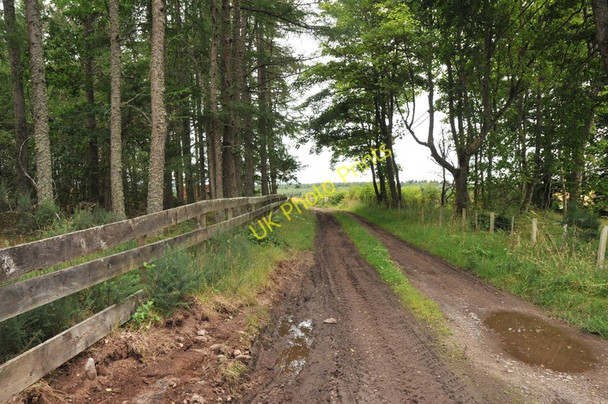 Photo 6"x4" Muddy farm track near Tore Munlochy c2010