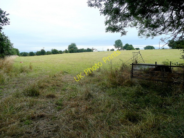 Photo 6"x4" Grassland east of Red Ditch Lane Hawcross c2010