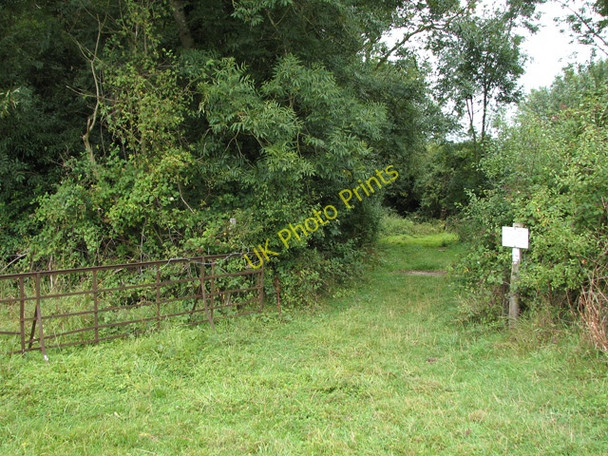 Photo 6"x4" An open gate Hethel c2010