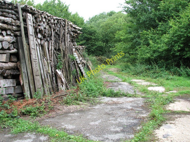 Photo 6"x4" A disused service road at RAF Hethel Hethel c2010