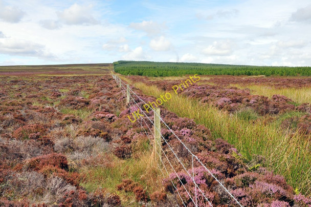 Photo 6"x4" Moorland boundary near Tannach Tannach c2010