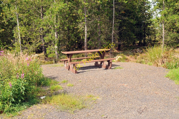 Photo 6"x4" Picnic area in Blingery Forest Tannach c2010