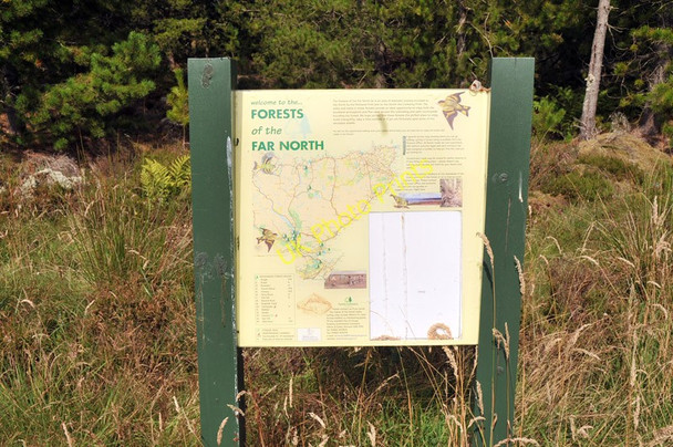 Photo 6"x4" Forests of the Far North information board Tannach c2010