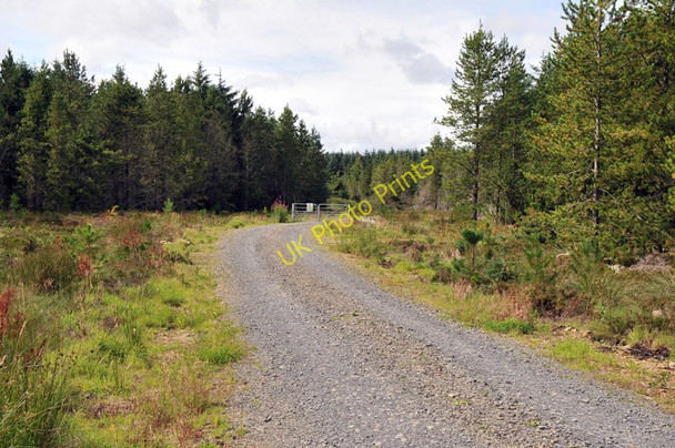 Photo 6"x4" Forestry road at Blingery Tannach c2010