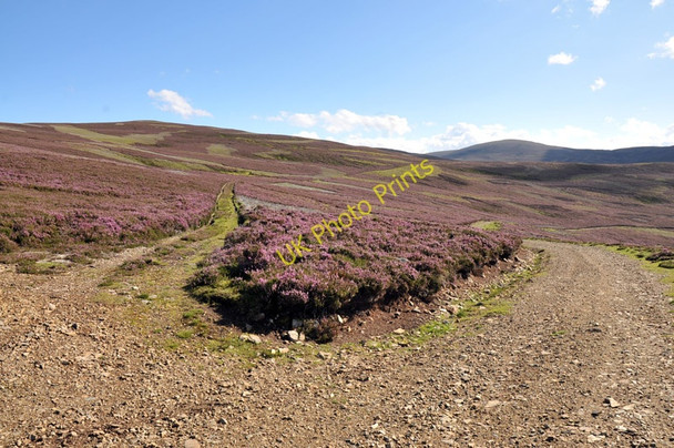 Photo 6"x4" Junction of the hill tracks on the slopes of Cairnlea Hill Corgarff c2010
