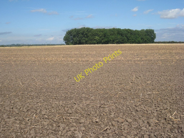 Photo 6"x4" Fox Covert after harvest Appleby\/SE9514 c2010