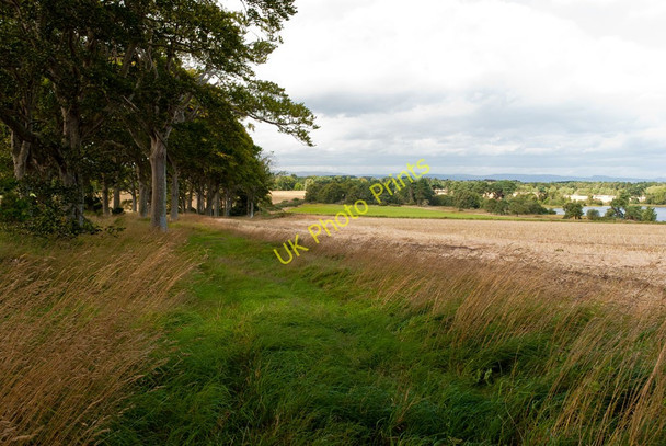 Photo 6"x4" Field near Midoxgate Loandhu c2010