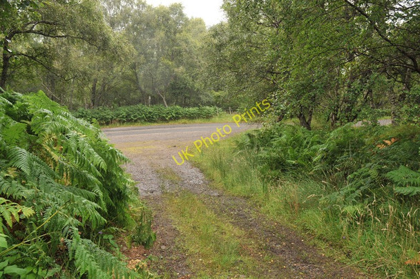 Photo 6"x4" Farm track meets the public road near Wester Gruinards Wester Gruinards c2010
