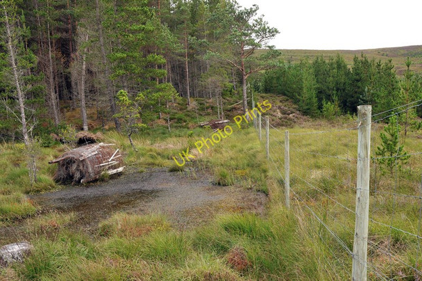 Photo 6"x4" Fence at the edge of the forest near Carbisdale Torroy c2010