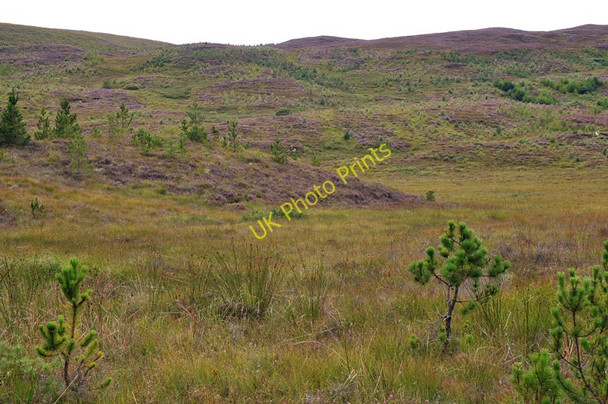 Photo 6"x4" Moorland near Carbisdale Torroy c2010