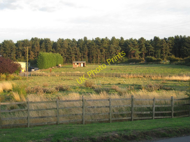 Photo 6"x4" Paddocks off Common Road, Broughton Broughton\/SE9608 c2010