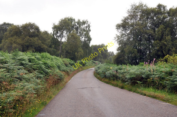 Photo 6"x4" Road from Inveroykel to Ardgay Culrain c2010