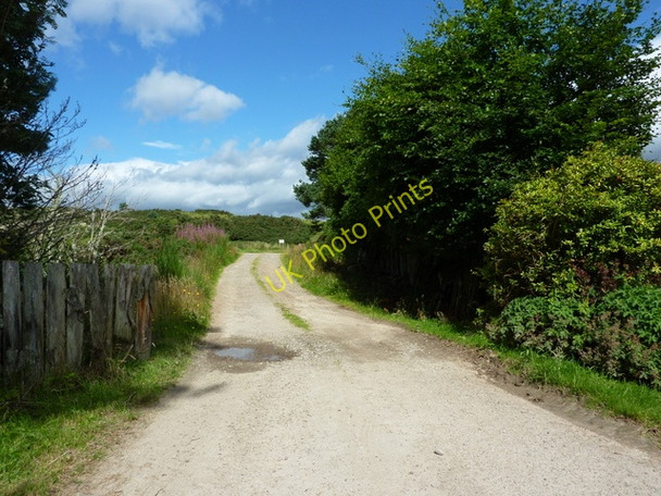 Photo 6"x4" End of the road at Astle Rearquhar c2010