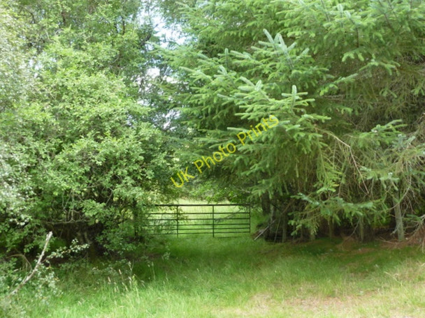 Photo 6"x4" Gate at Rearquhar Rearquhar c2010
