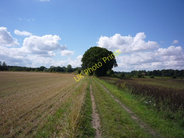 Photo 6"x4" Old railway bridge Deighton\/SE6244 c2010