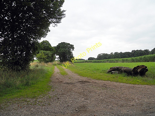 Photo 6"x4" Farm track near Old Springs Hall Almington c2010