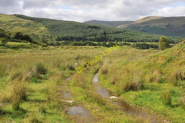 Photo 6"x4" Farm track near Camisky Muirshearlich c2010