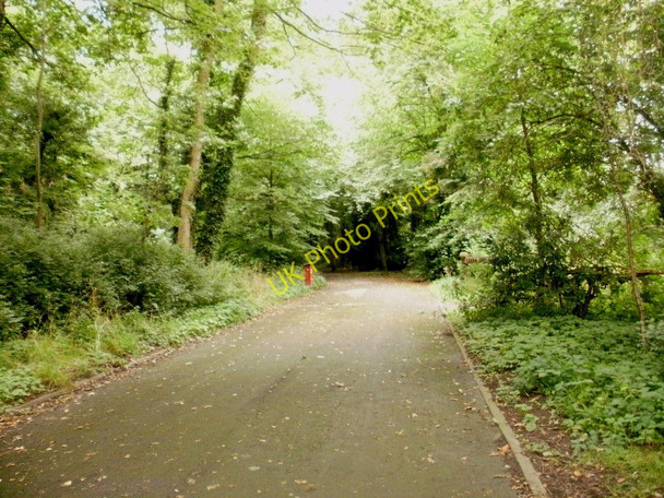 Photo 6"x4" Green Drive, west end Saltcotes c2010